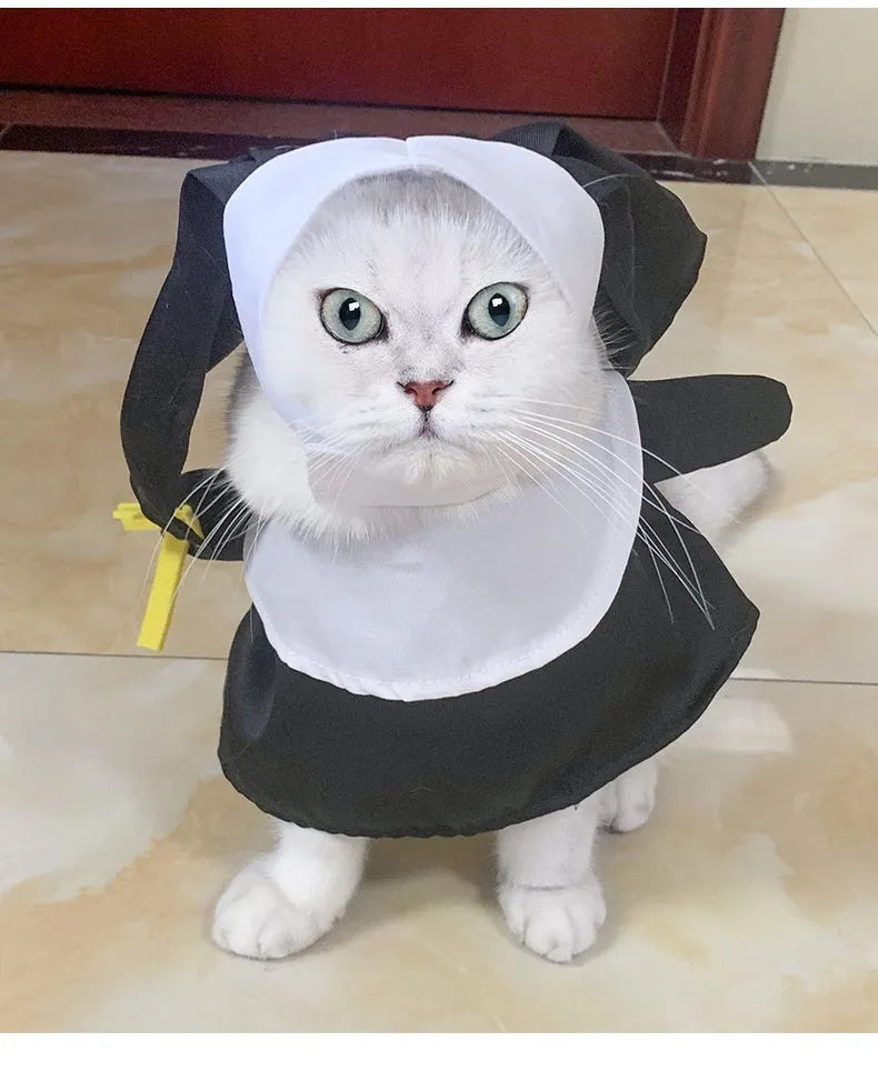 Black polyester nun Halloween costume on small dog showing complete habit design