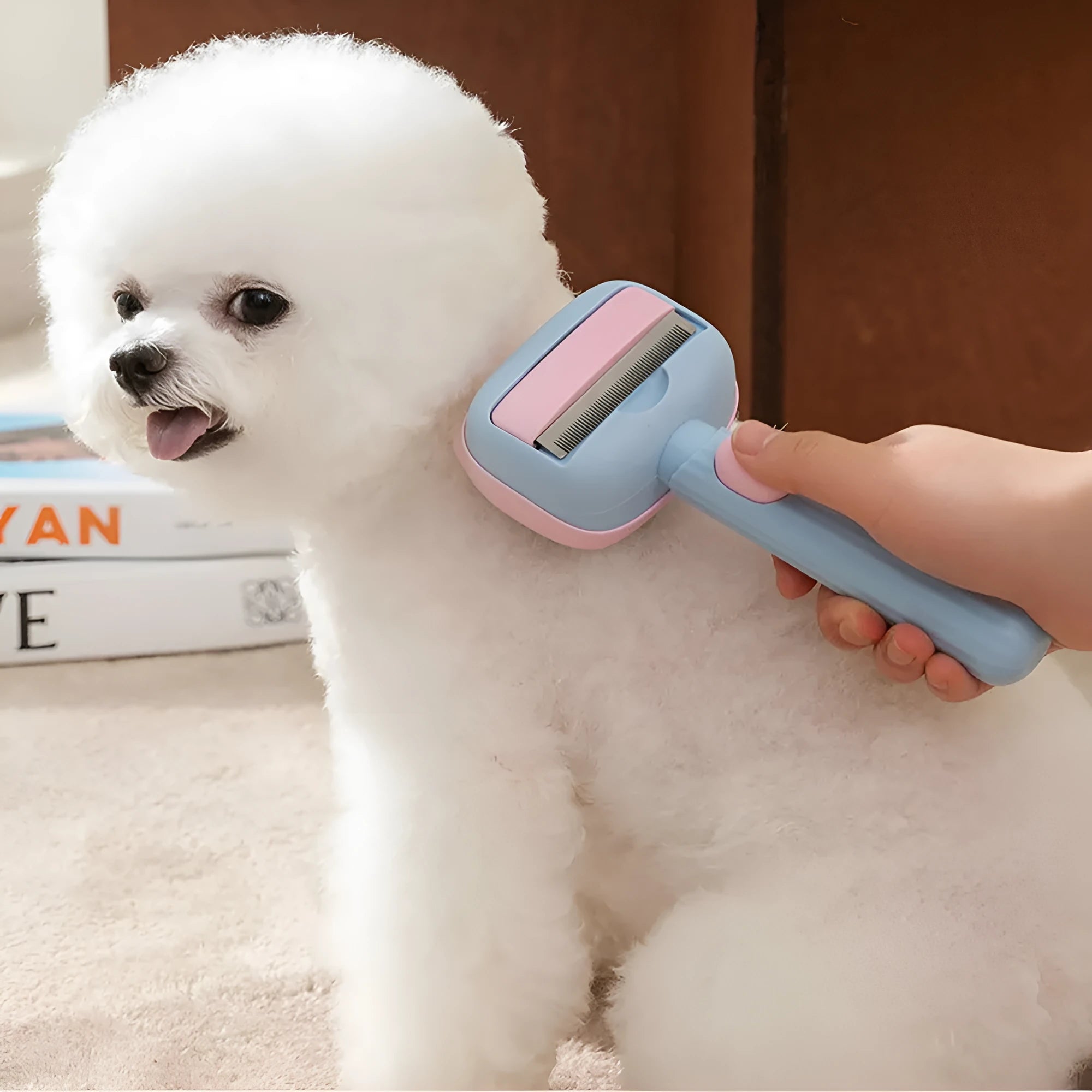 Blue and green double-sided pet grooming brush showing deshedding rake and dematting comb