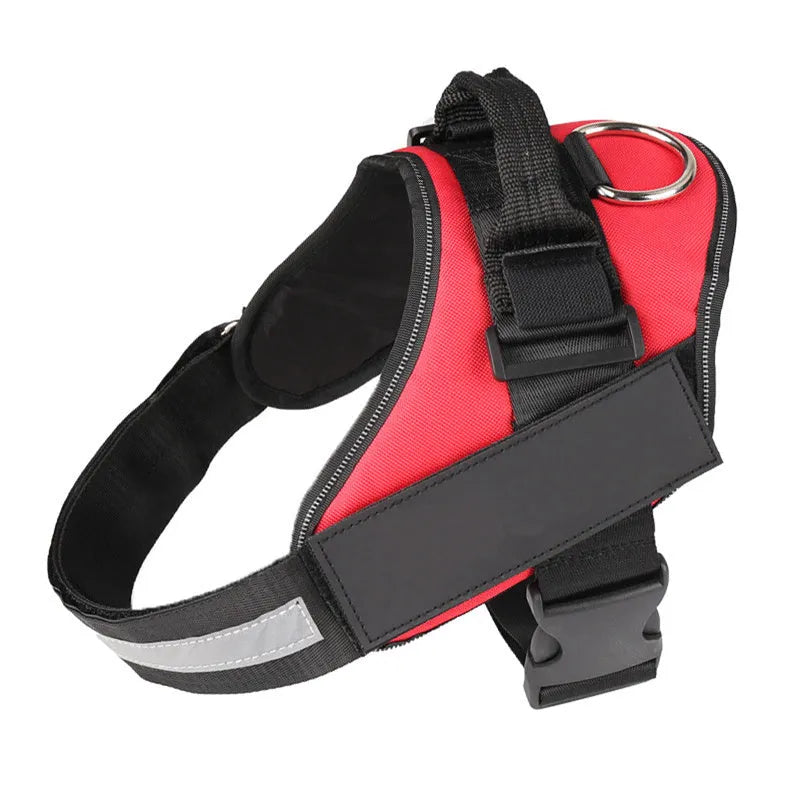 Personalised reflective nylon no-pull dog harness vest on a dog, showing adjustable straps and D-ring.