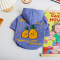 Blue and purple cotton pet hoodie with cartoon print for winter wear