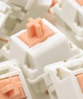 Single Panda mechanical keyboard switch with clear plastic housing for DIY keyboard builds