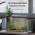 Compact black ecological Betta fish tank with integrated filtration and a fitted plastic cover on a wooden surface.