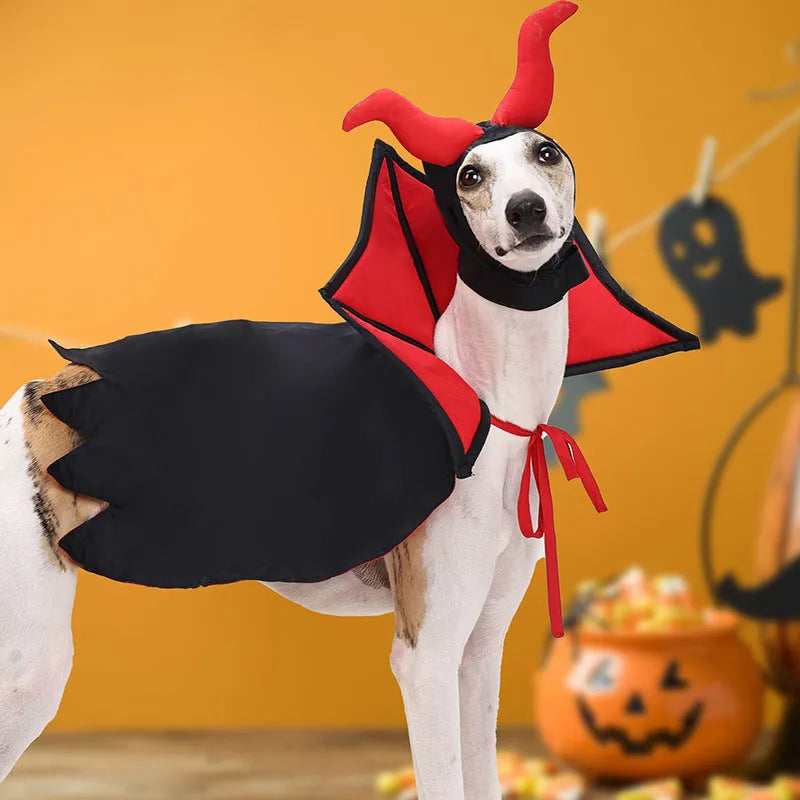 Black vampire cloak and matching hat costume for a small dog or cat on Halloween.