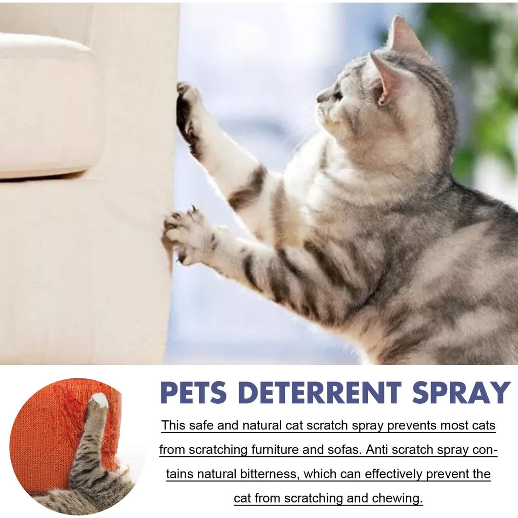 50ml pet training deterrent spray in box for dogs and cats anti-scratch protection