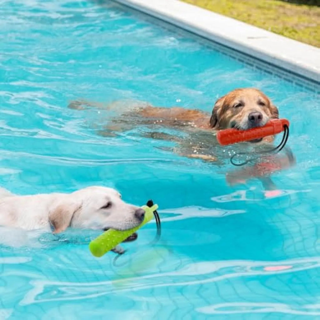 Two floating dog pool toys in red and green with rope handles on a blue background