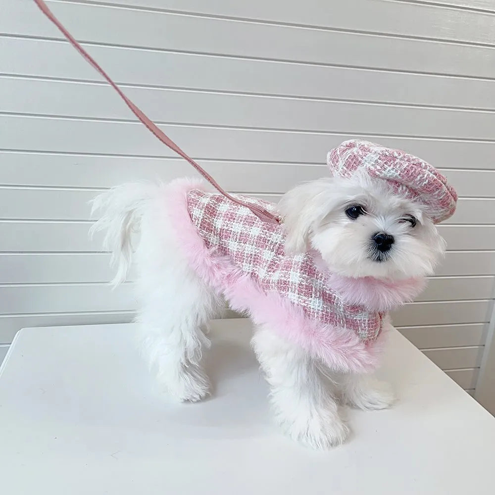 Cat wearing pink polyester cloak costume with beret and hand-holding rope