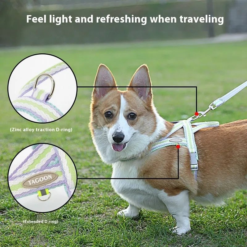 Polyester dog harness with Y-shaped chest strap and integrated hand-holding rope in four colour options
