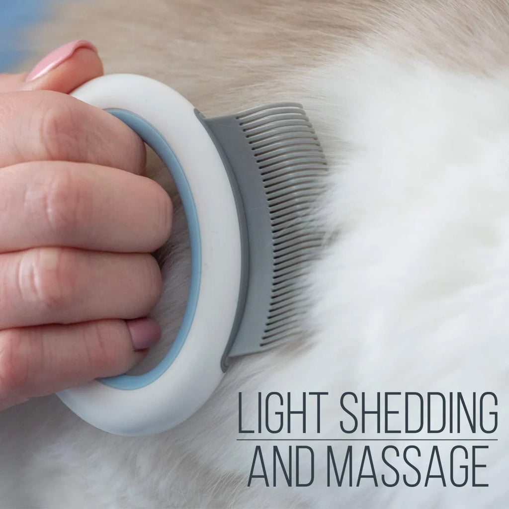 Blue plastic pet grooming comb with soft teeth for cats and dogs