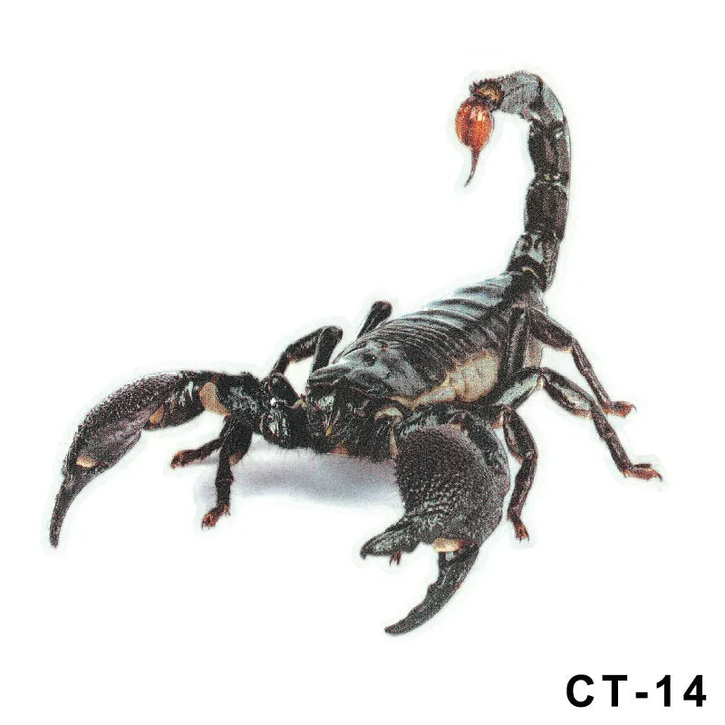 3D simulation matte frosted car sticker with micro-pressure technology showing realistic spider detail on vehicle body
