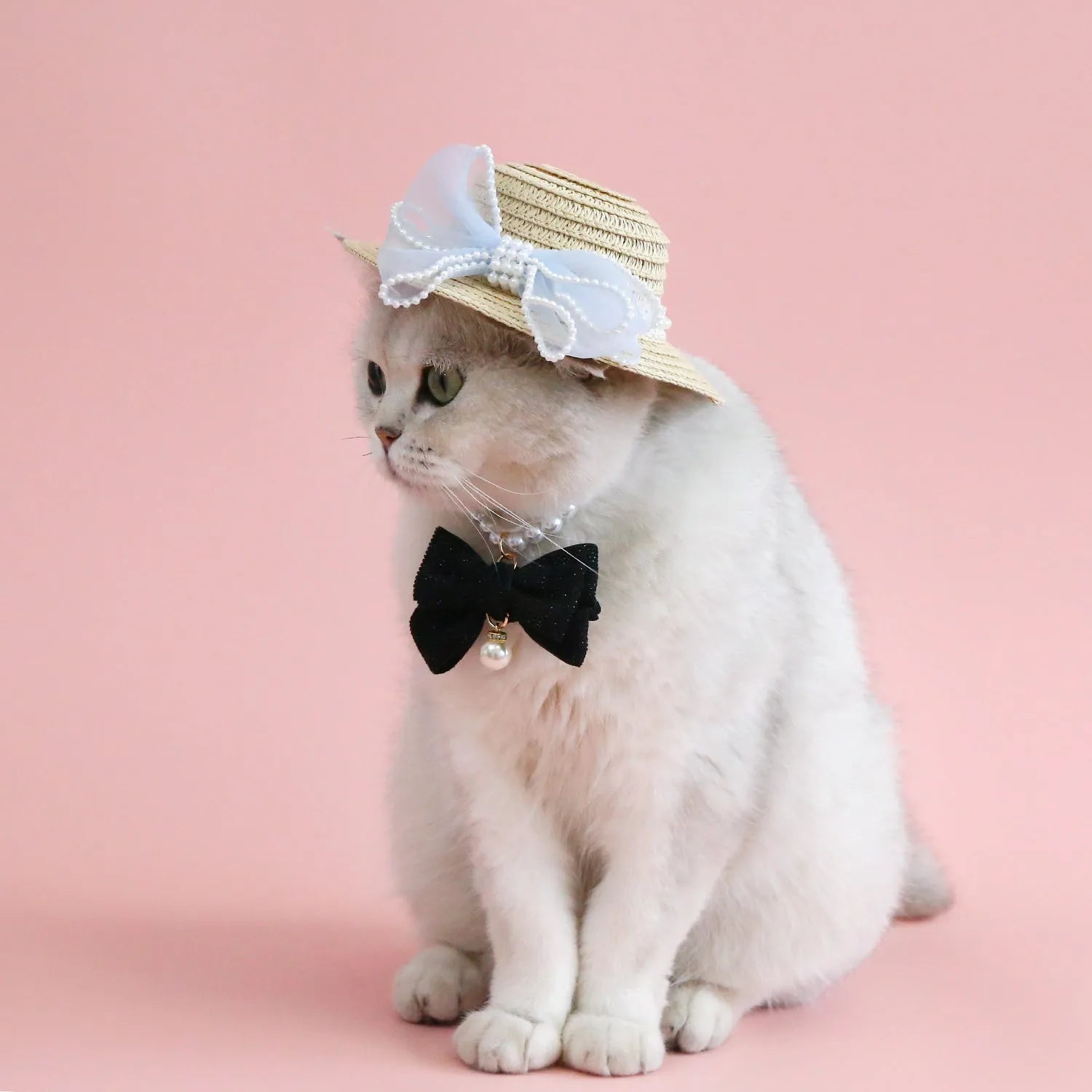 Princess-style woven cat hat with pearl butterfly bow in blue, pink, purple, or white on Lafite leaves.