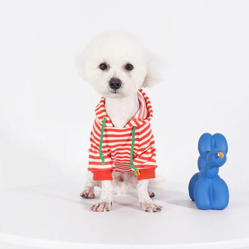 Orange cotton hooded sweater for dogs showing Japanese style design with multiple sizing options