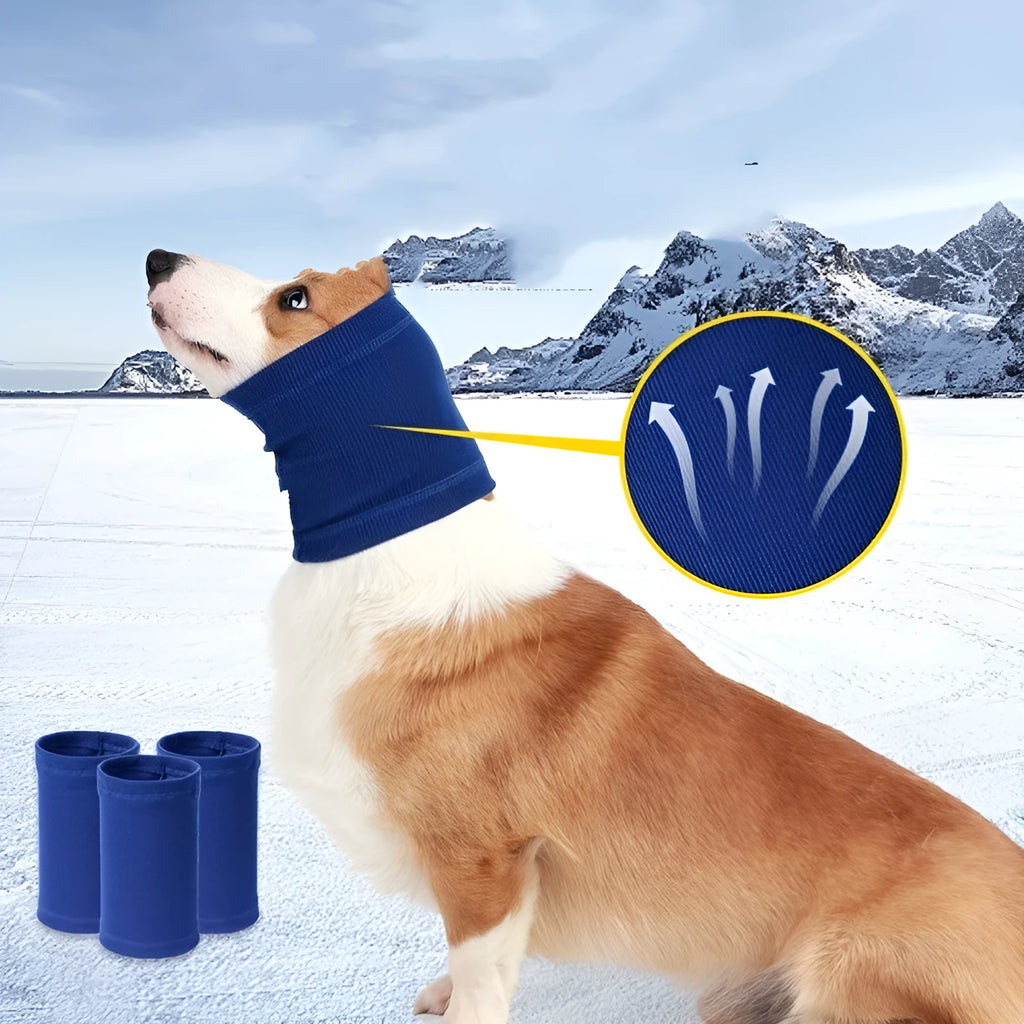 Polyester dog headband scarf in blue or grey colour, available in S M L sizes for small to medium breeds