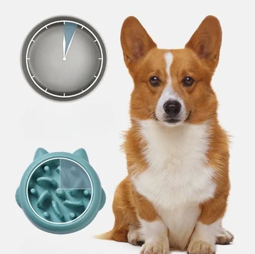 Green PP slow feeder bowl with bone-shaped pattern for dogs and cats