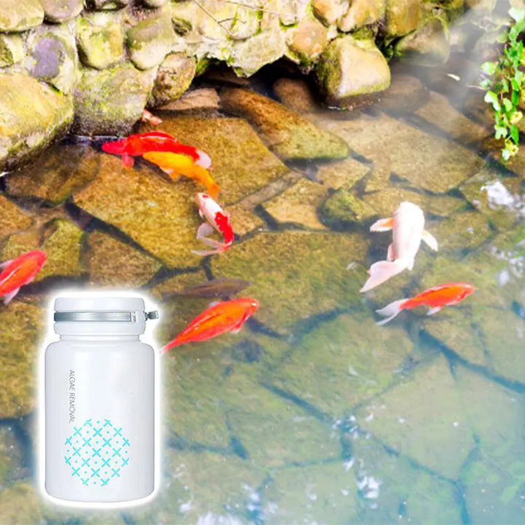 50g swimming pool algaecide for algae removal and moss control in aquatic environments
