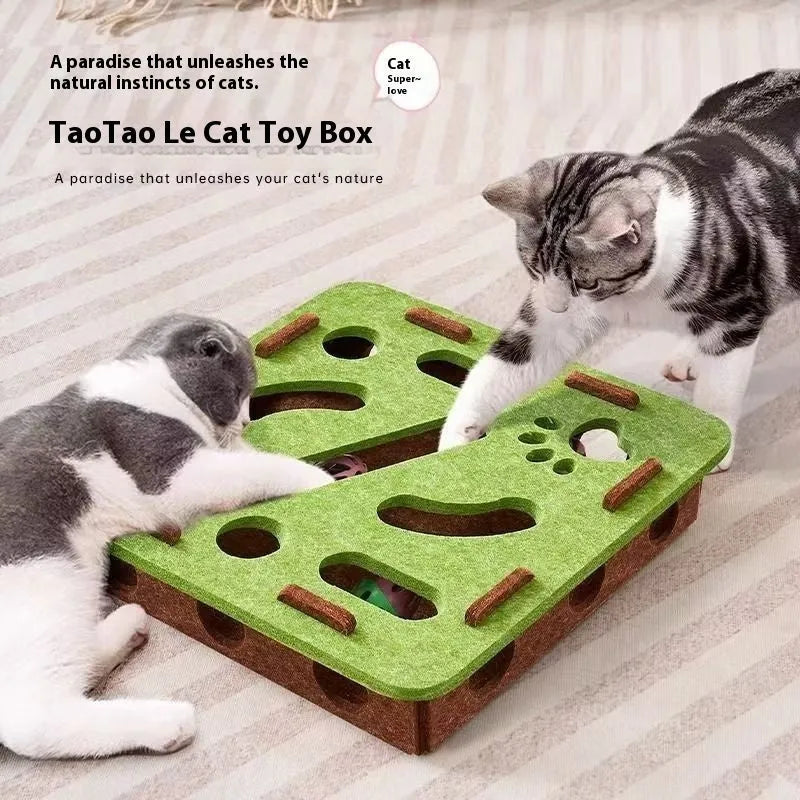 Square green brown felt cat puzzle box toy with a circular hole, shown next to a cat.