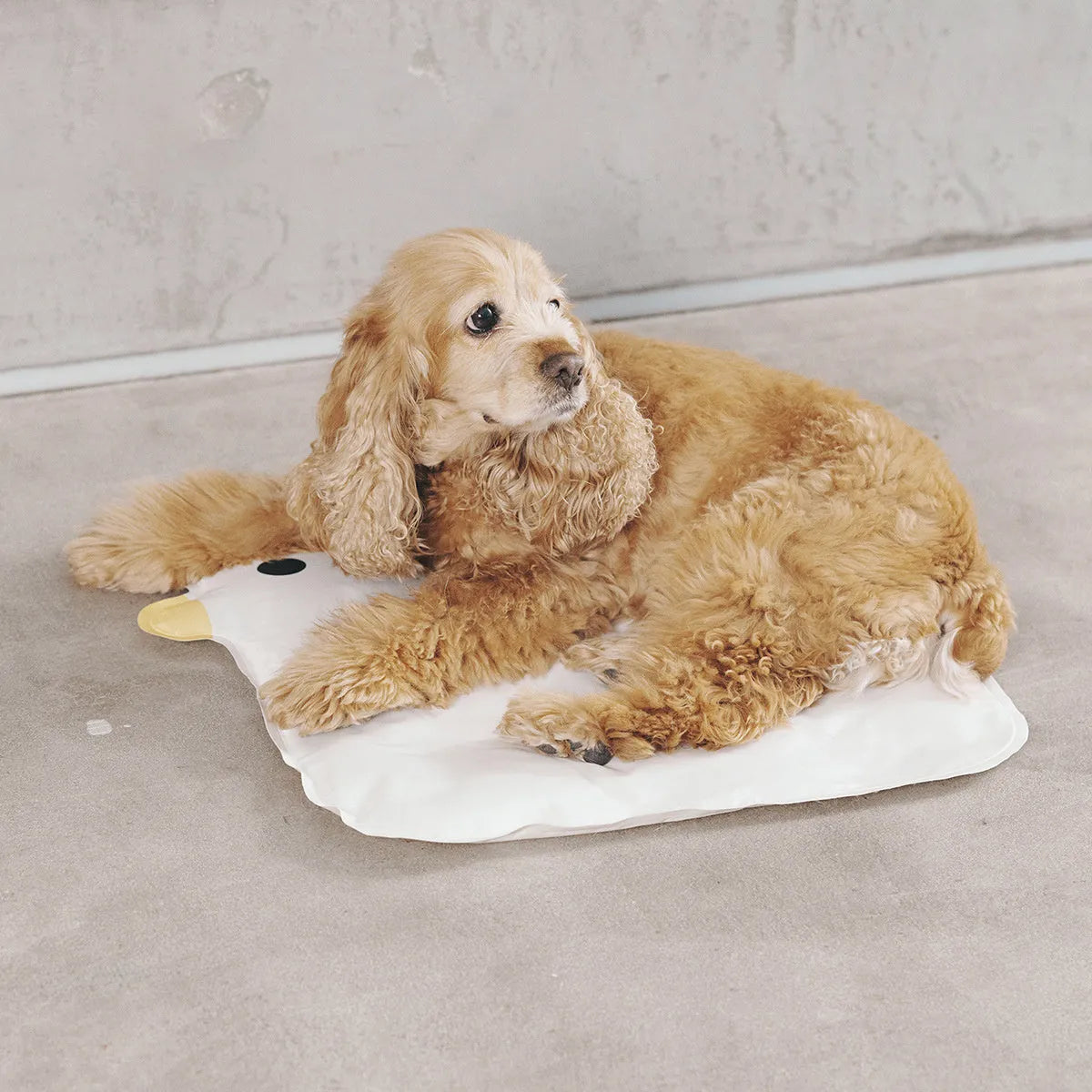 Chick shaped pet cooling mat 45cm square with composite cloth surface