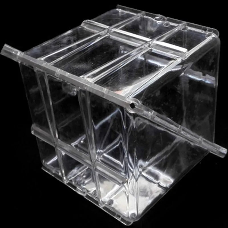 Square-shaped clear plastic watermelon growth mold for shaping fruit, shown at 13cm dimensions.