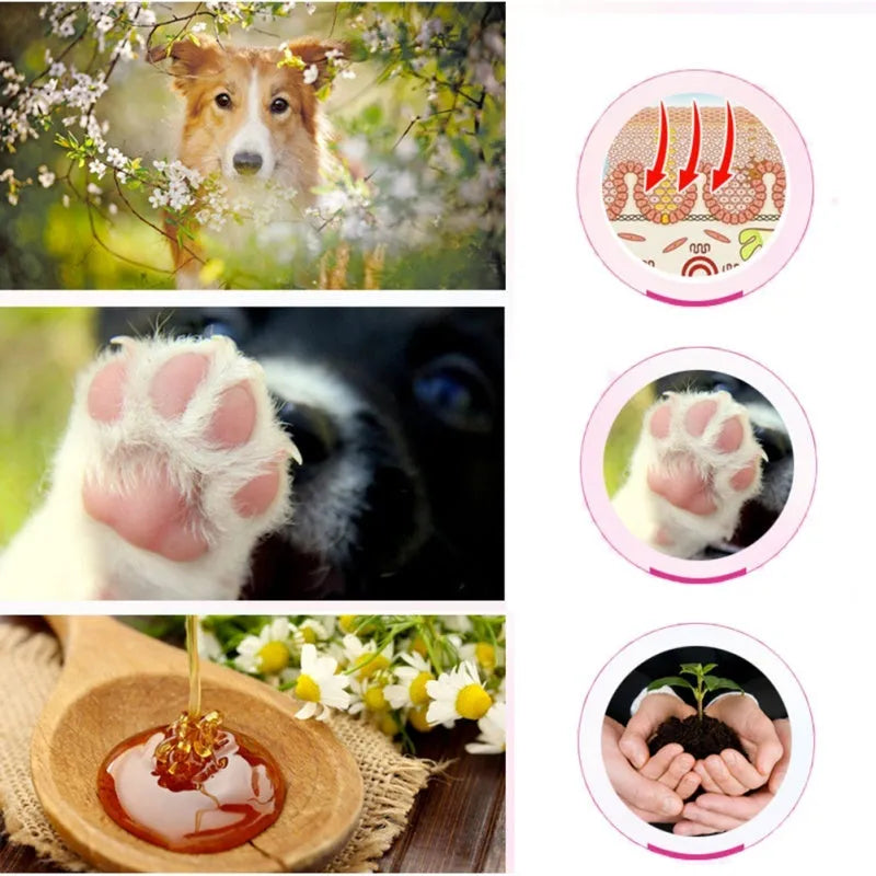 PETSTWO 60g pet paw moisturising cream for cats and dogs with propolis and glycerin