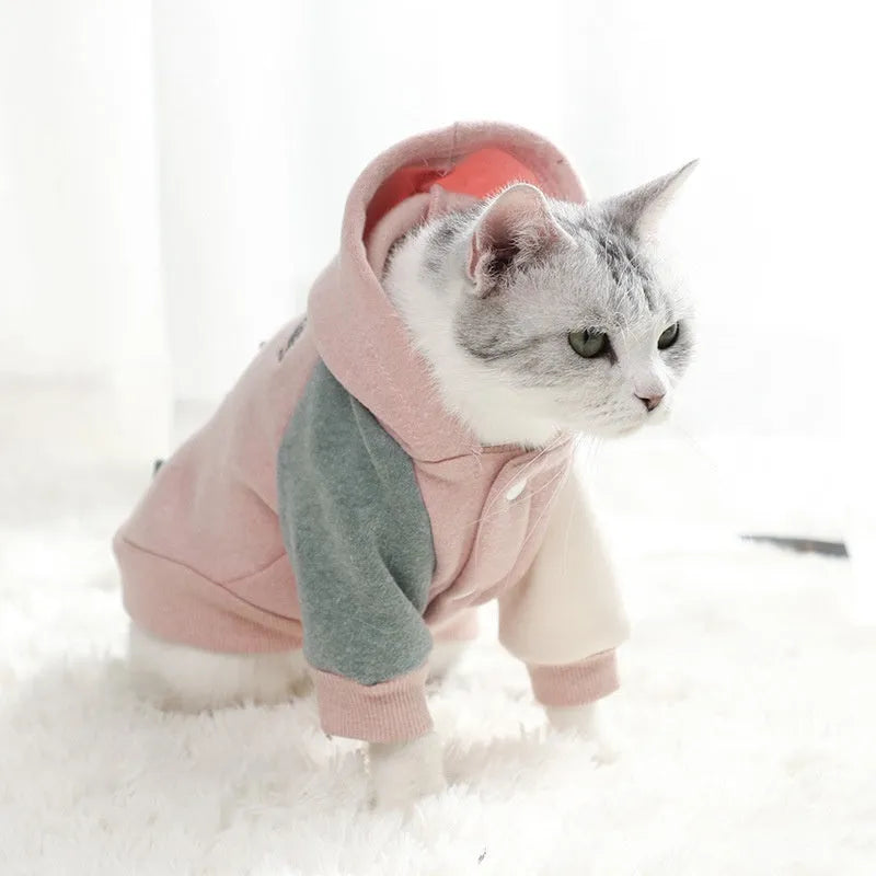 Brown cotton dog sweatshirt pet clothing shown on a canine model