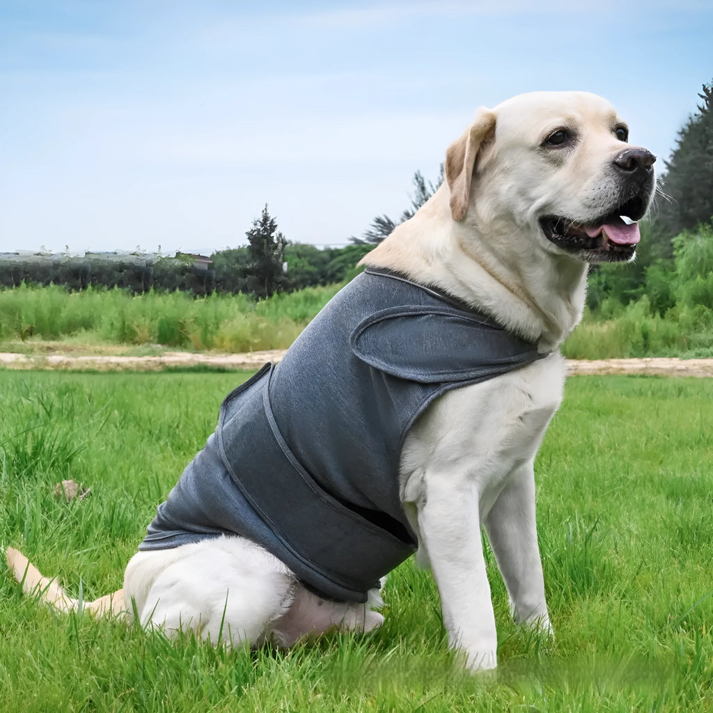 Brown brocade cotton dog anxiety tank top for separation relief, sized for medium dogs.
