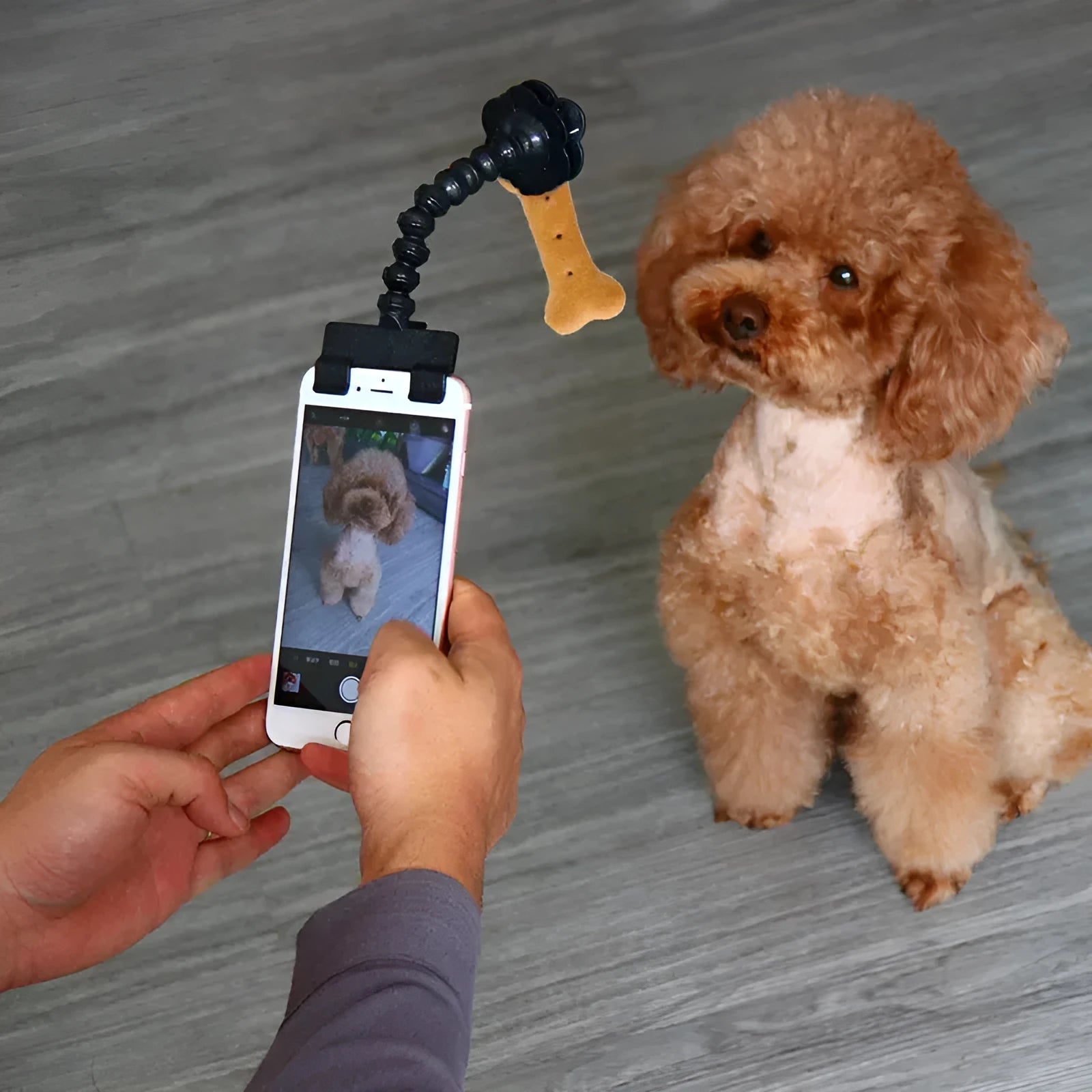 Black plastic pet photography phone holder with clip for dog or cat treats