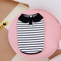 Pet wearing striped cotton t-shirt and matching skirt summer outfit set