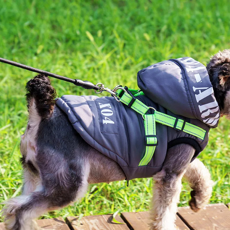 Red fleece-lined waterproof winter dog jacket with hood on medium-sized dog outdoors