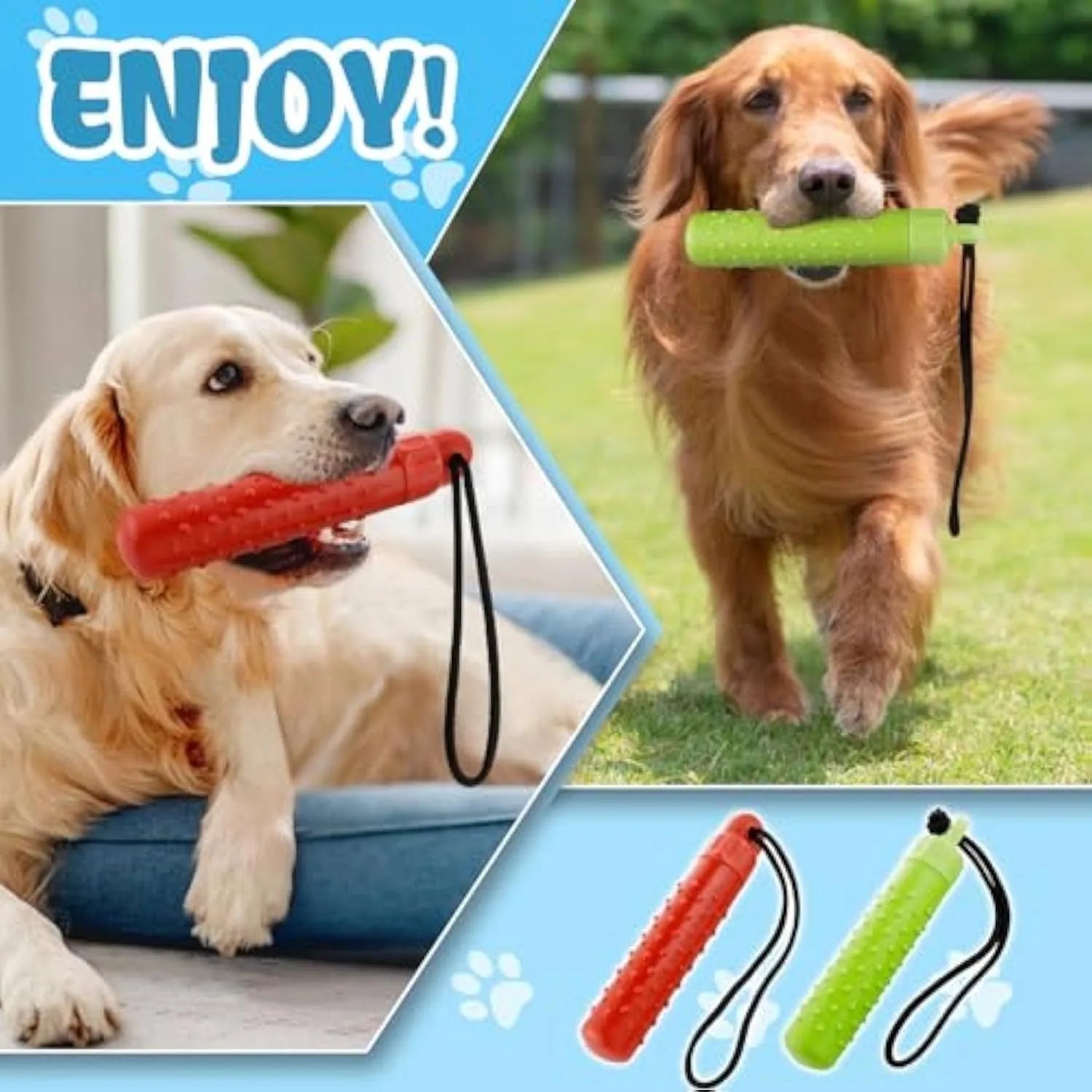 Two floating dog pool toys in red and green with rope handles on a blue background