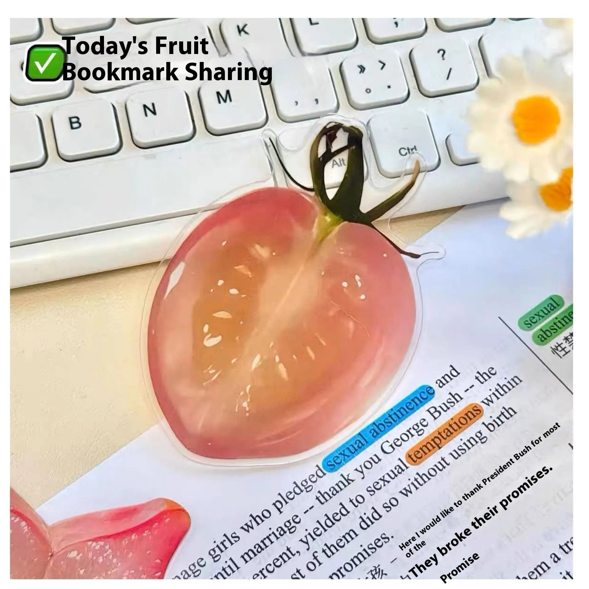Transparent plastic fruit shaped bookmark with fixed clip, watermelon red colour, 8-10cm size
