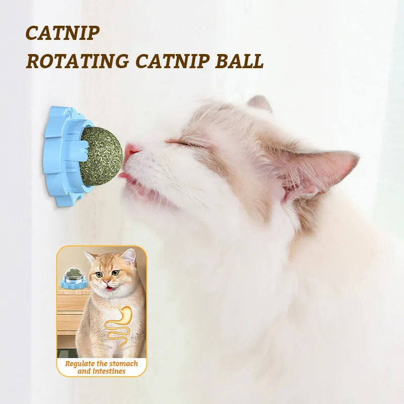 Paste-on catnip molar chew toy in PP plastic, shown in orange, pink, or blue with mint or Polygonum multiflorum flavour