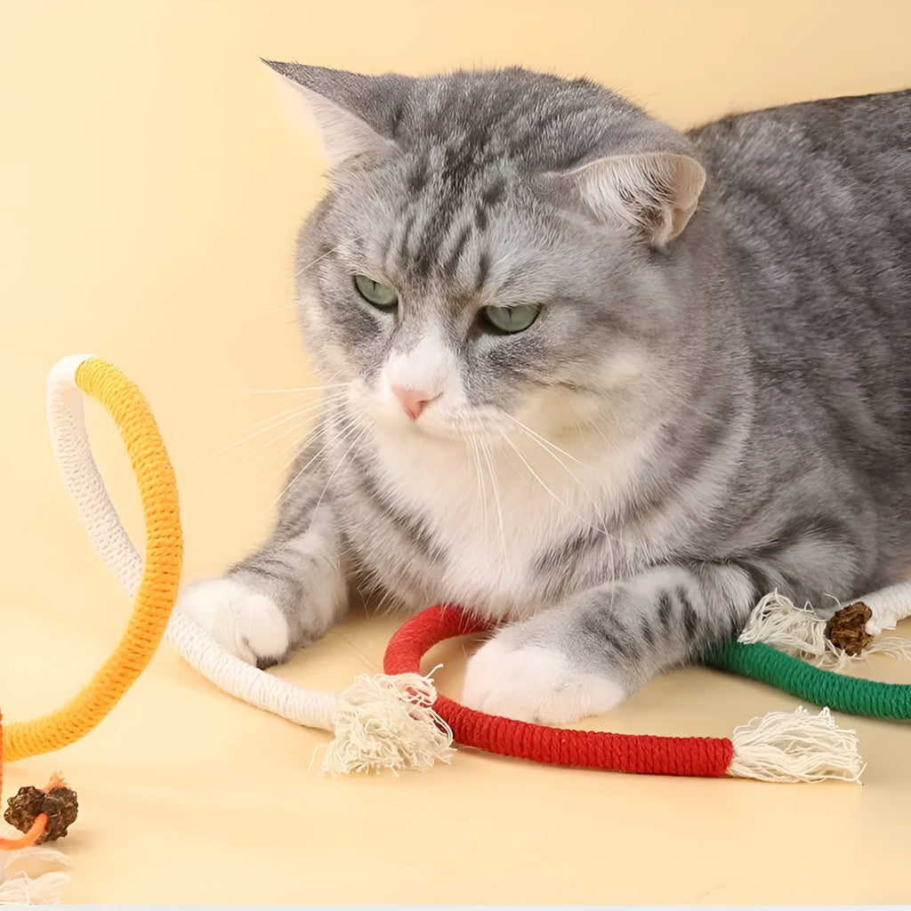 Cat bite rope toy self-hi relieving stuffy pet toy in traffic light colour with cotton thread construction