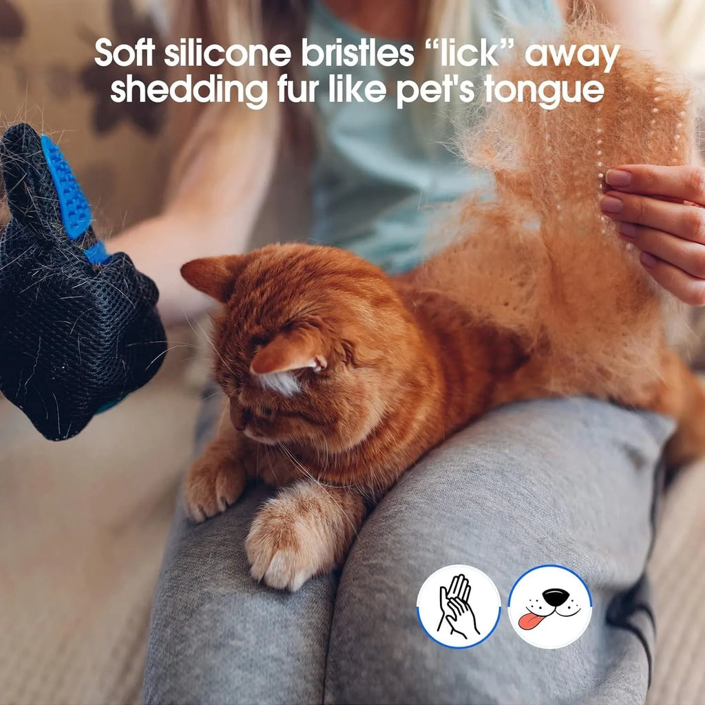 Blue pet grooming glove with silicone tips for removing hair from dogs and cats.