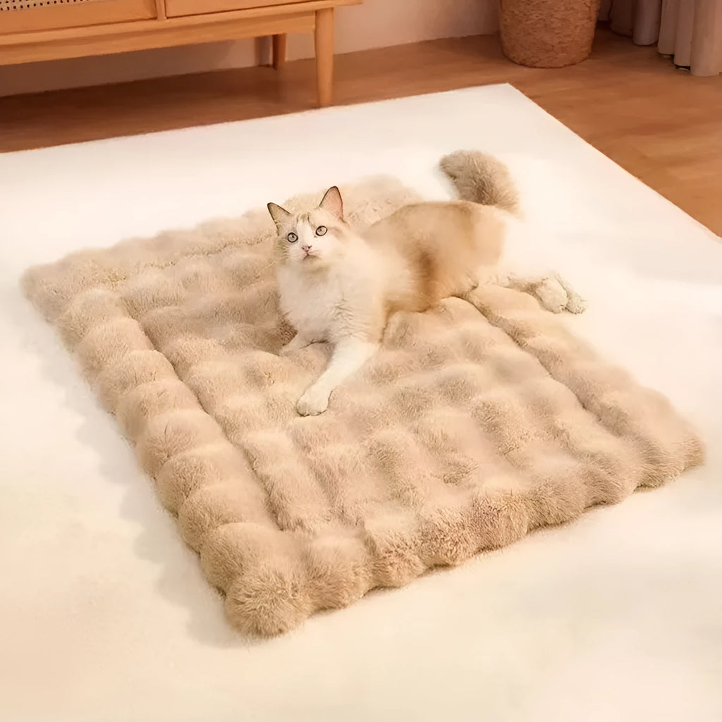 Plush cat and dog sleeping pad in grey or yellow, rectangular pet cushion, available in four sizes from 30x40cm to 70x90cm.