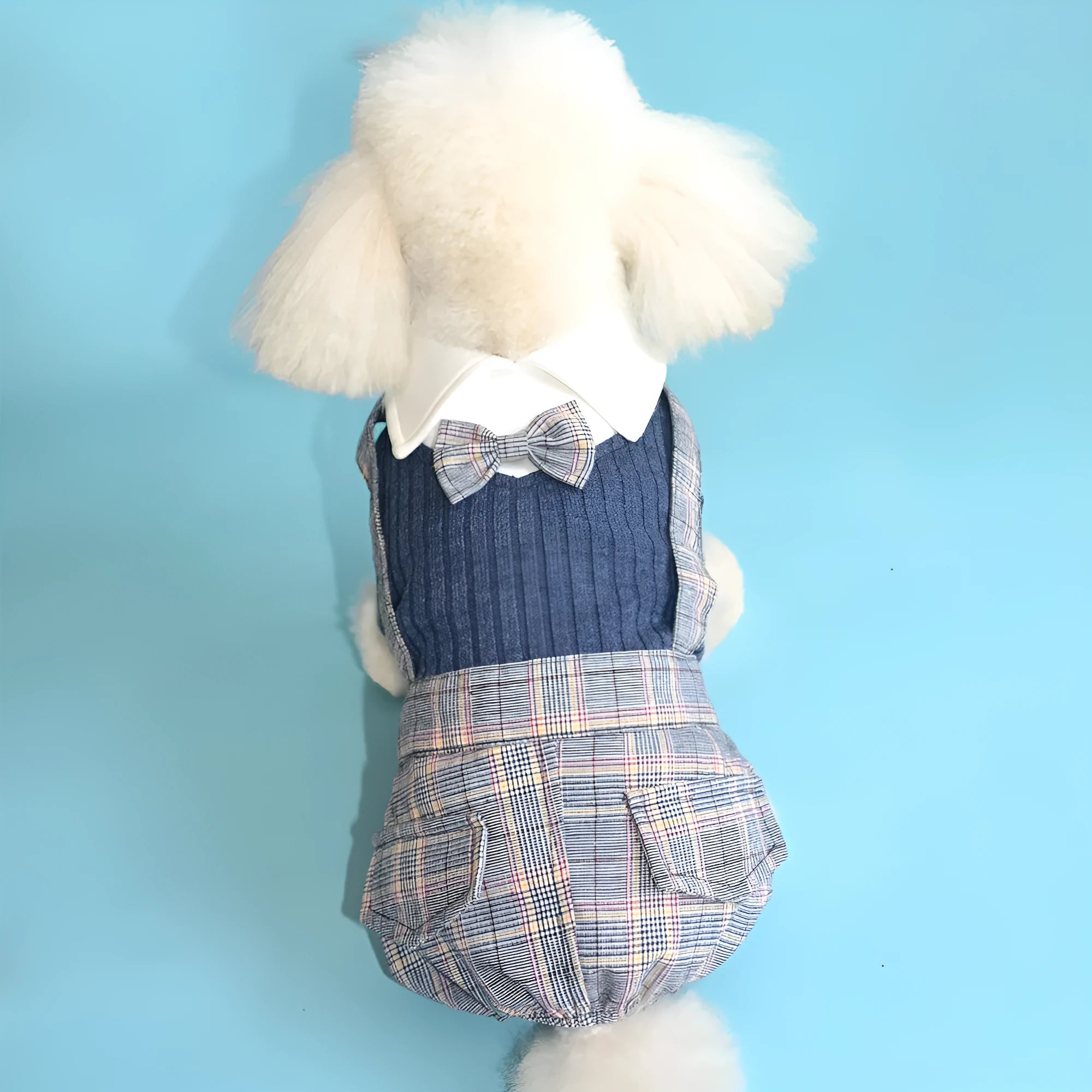Cotton dog shirt in dark blue and orange colours available in sizes S M L XL 2XL