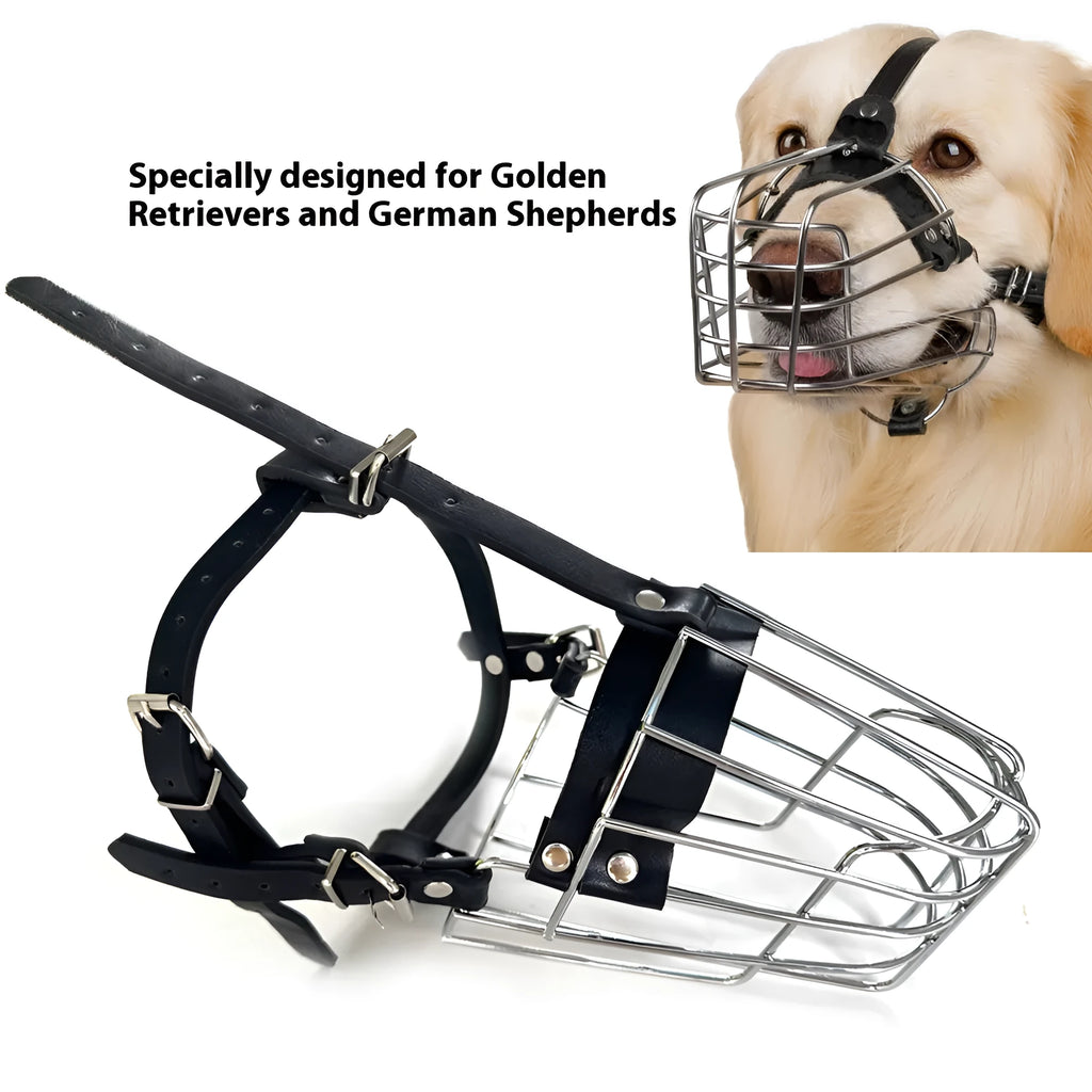 Black metal dog muzzle shown on a golden retriever, demonstrating the secure cage design and buckle fastening.