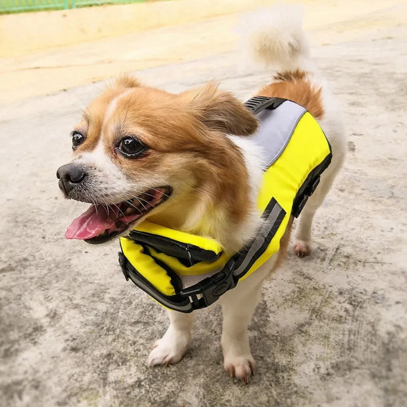 Fluorescent yellow pet reflective airbag nylon life jacket with reflective strips on a dog near water