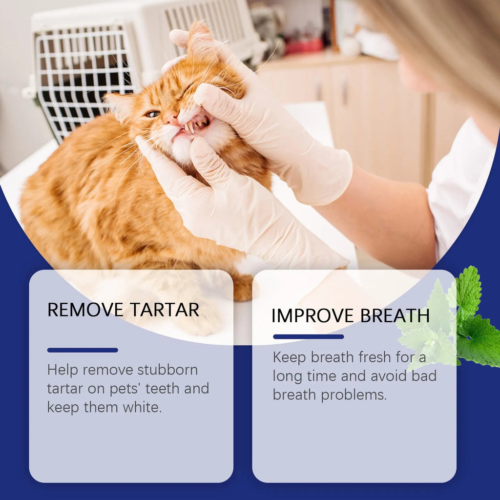 Pet teeth cleaning powder 40g tub with sodium bicarbonate and green tea extract for dog and cat dental care