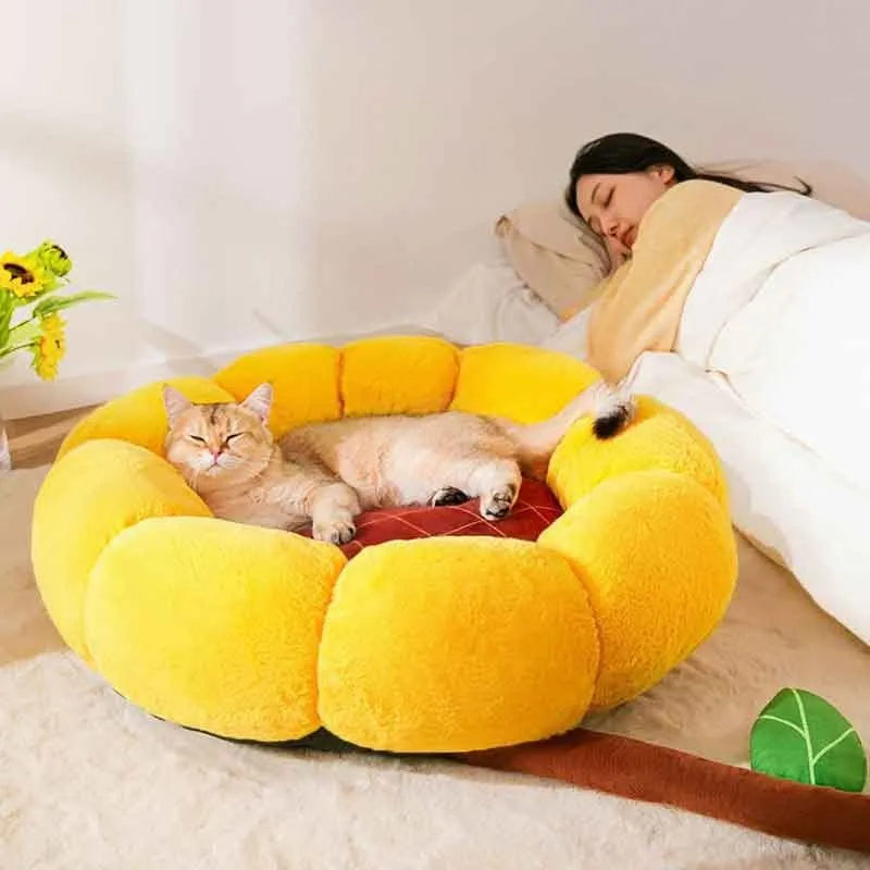 Cat nest cushion pet bed in green dinosaur pattern with PV velvet material