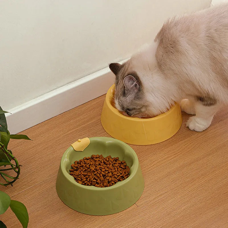 Plastic double pet bowl for cats and small dogs in flower-shaped design