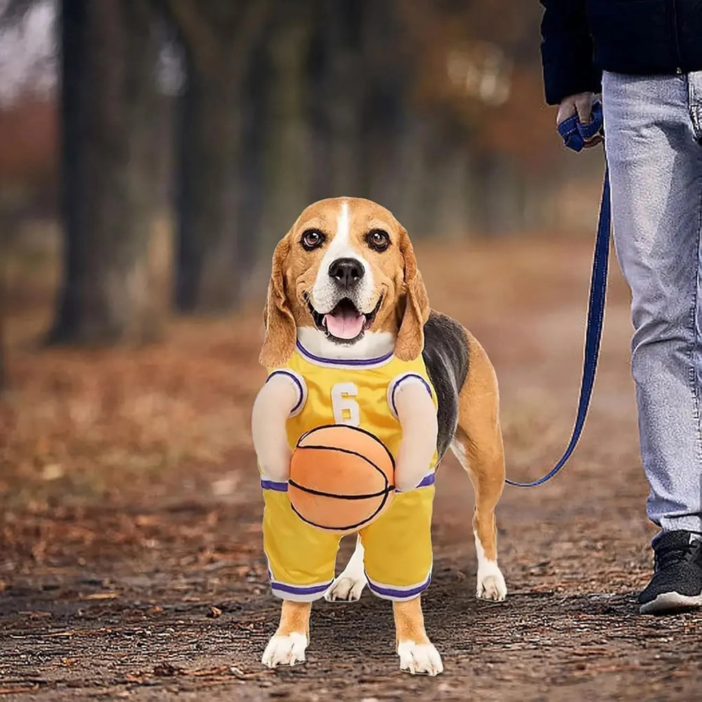 Dog basketball player costume in red or yellow with padded arms and toy basketball, S M L sizes