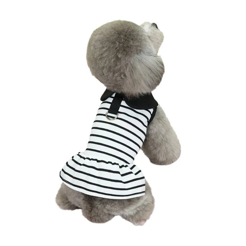 Pet wearing striped cotton t-shirt and matching skirt summer outfit set