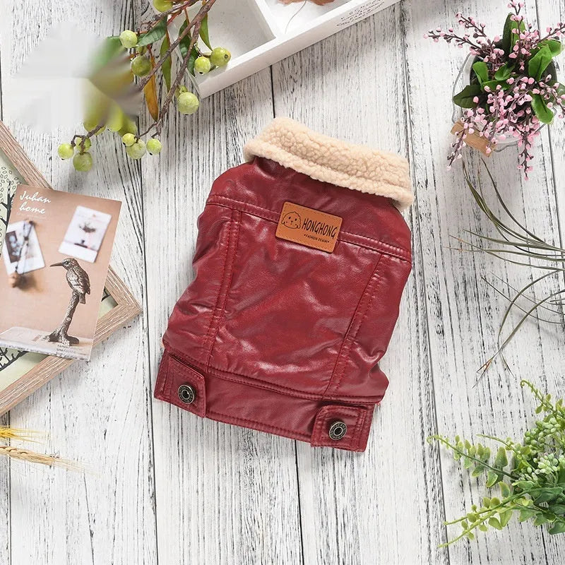 Two-legged PU pet leather coat in red for small dog, fleece-lined with British-style design