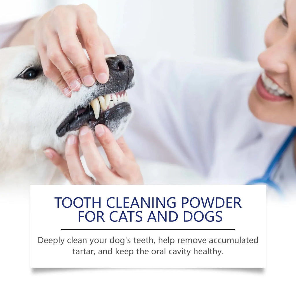 Pet teeth cleaning powder 40g tub with sodium bicarbonate and green tea extract for dog and cat dental care