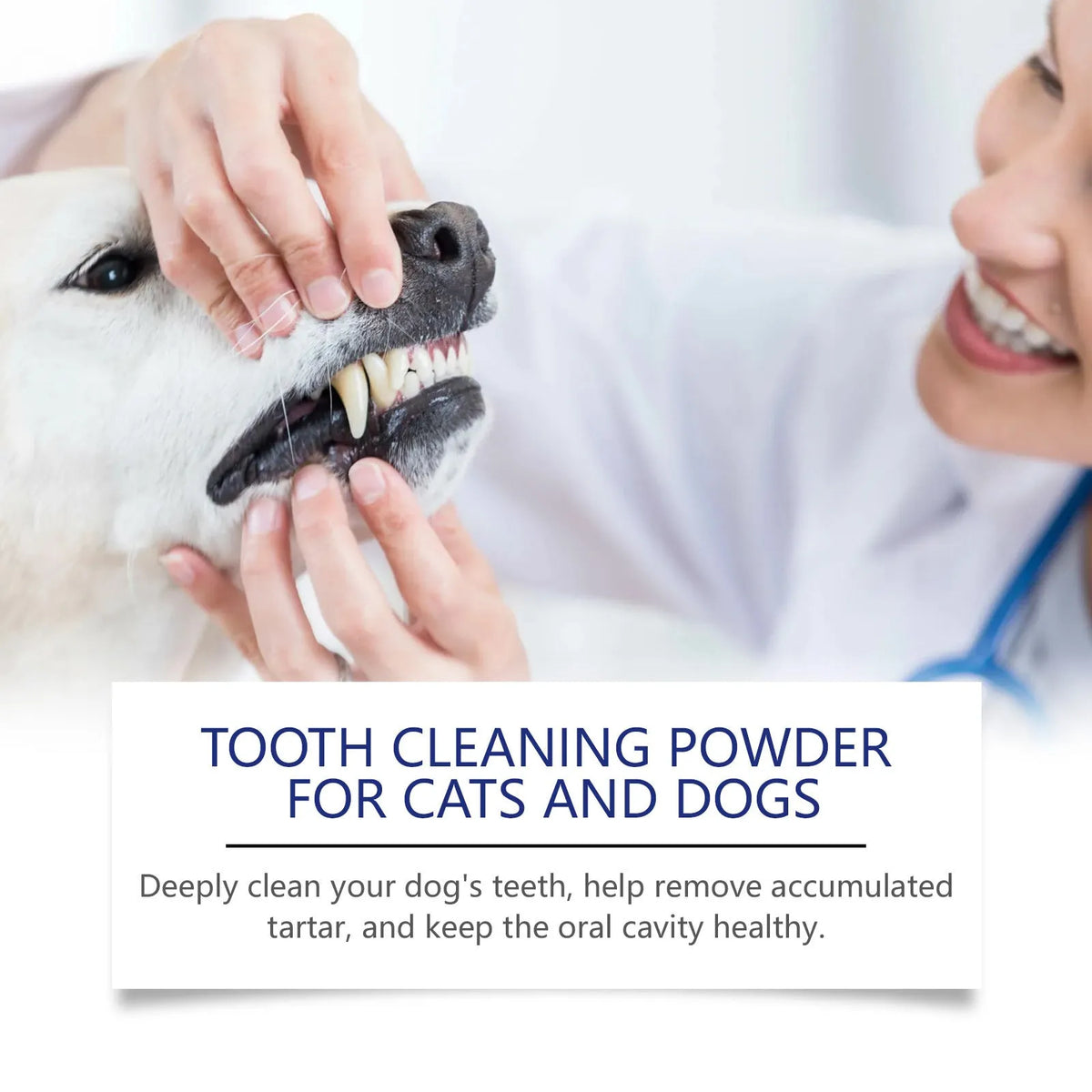 Pet teeth cleaning powder 40g tub with sodium bicarbonate and green tea extract for dog and cat dental care