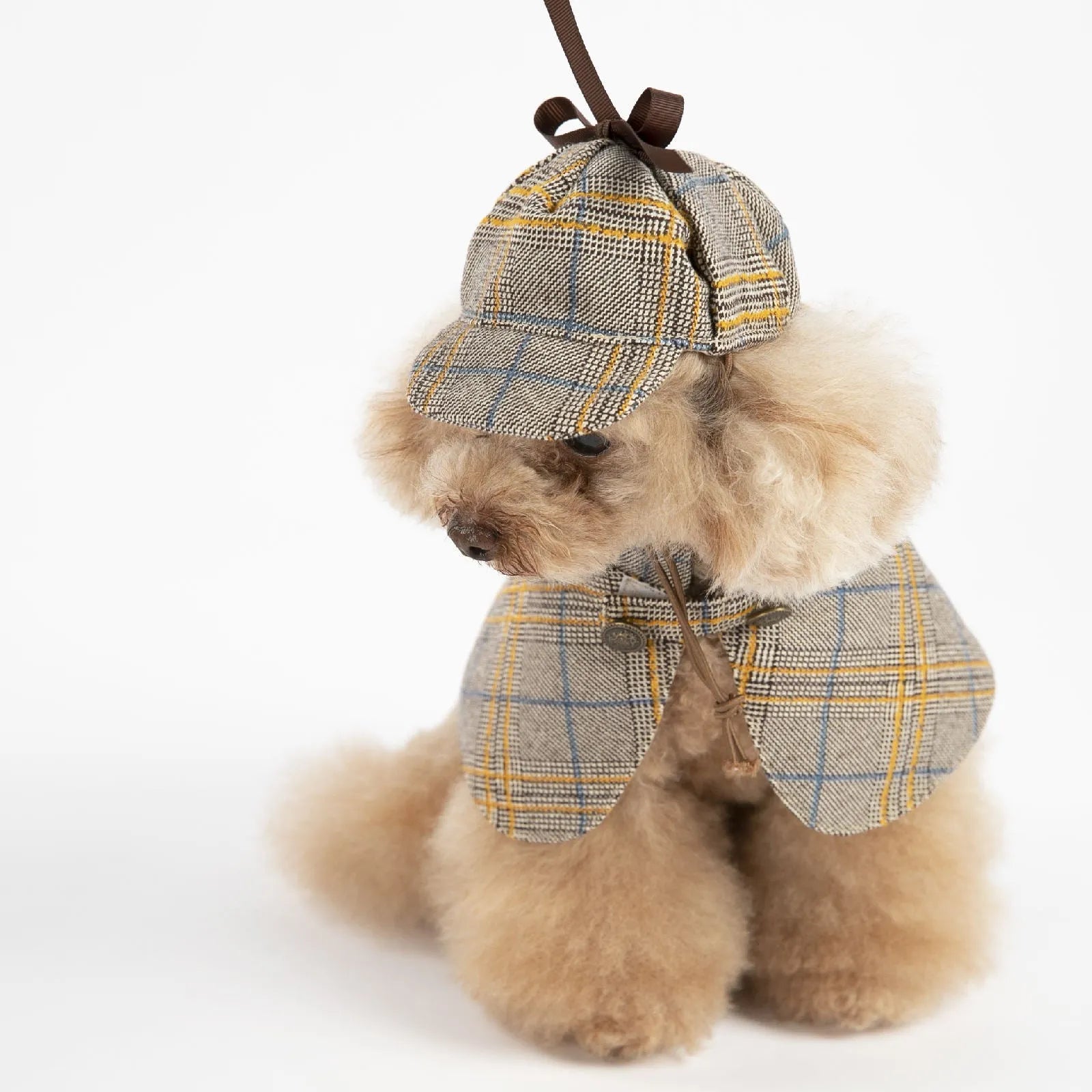 Camel-coloured cotton dog cloak with adjustable hood shown on a small breed dog.