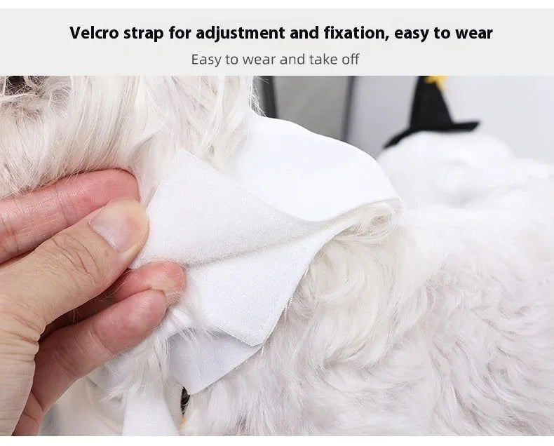 White pumpkin ghost dog costume suit for Halloween with viscose fabric in S M L sizes