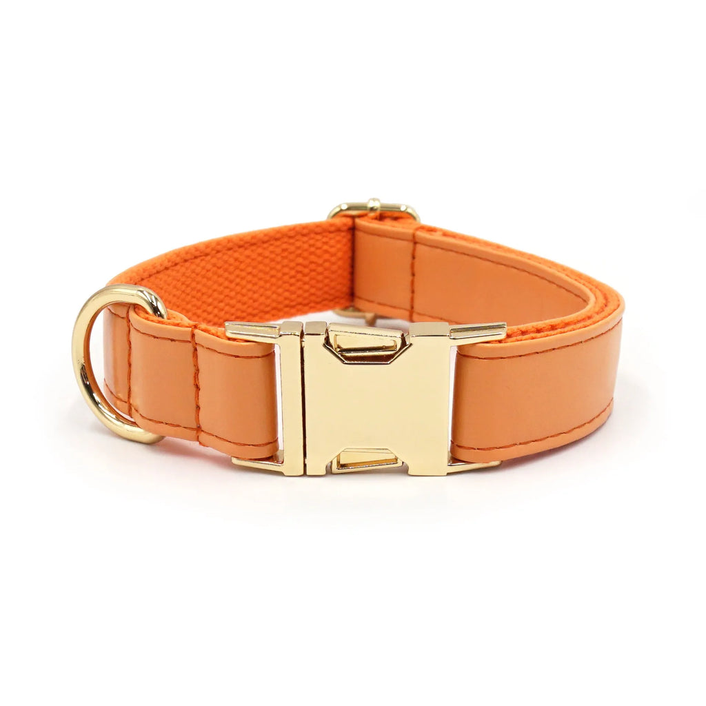 Leather dog collar with velvet finish and brass metal buckle in caramel colour option