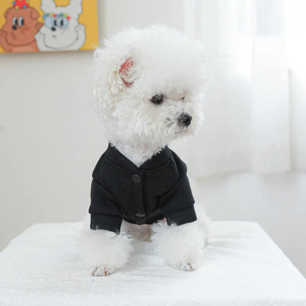 Casual knitwear dog jumper in kiss sweater pattern for winter, shown with size chart for XS to XL