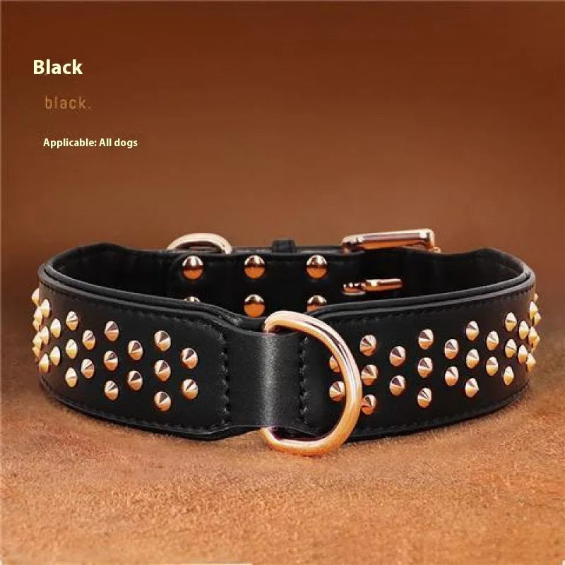 A brown leather dog collar with a row of shiny brass anti-bite rivets and a metal D-ring.