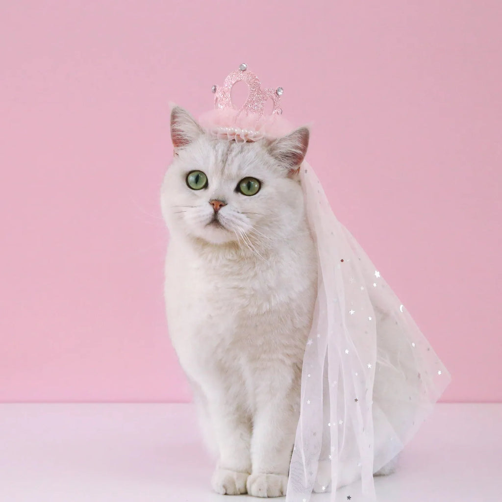 Cat wearing princess crown headdress with veil in beige and pink colour options for wedding or party costume